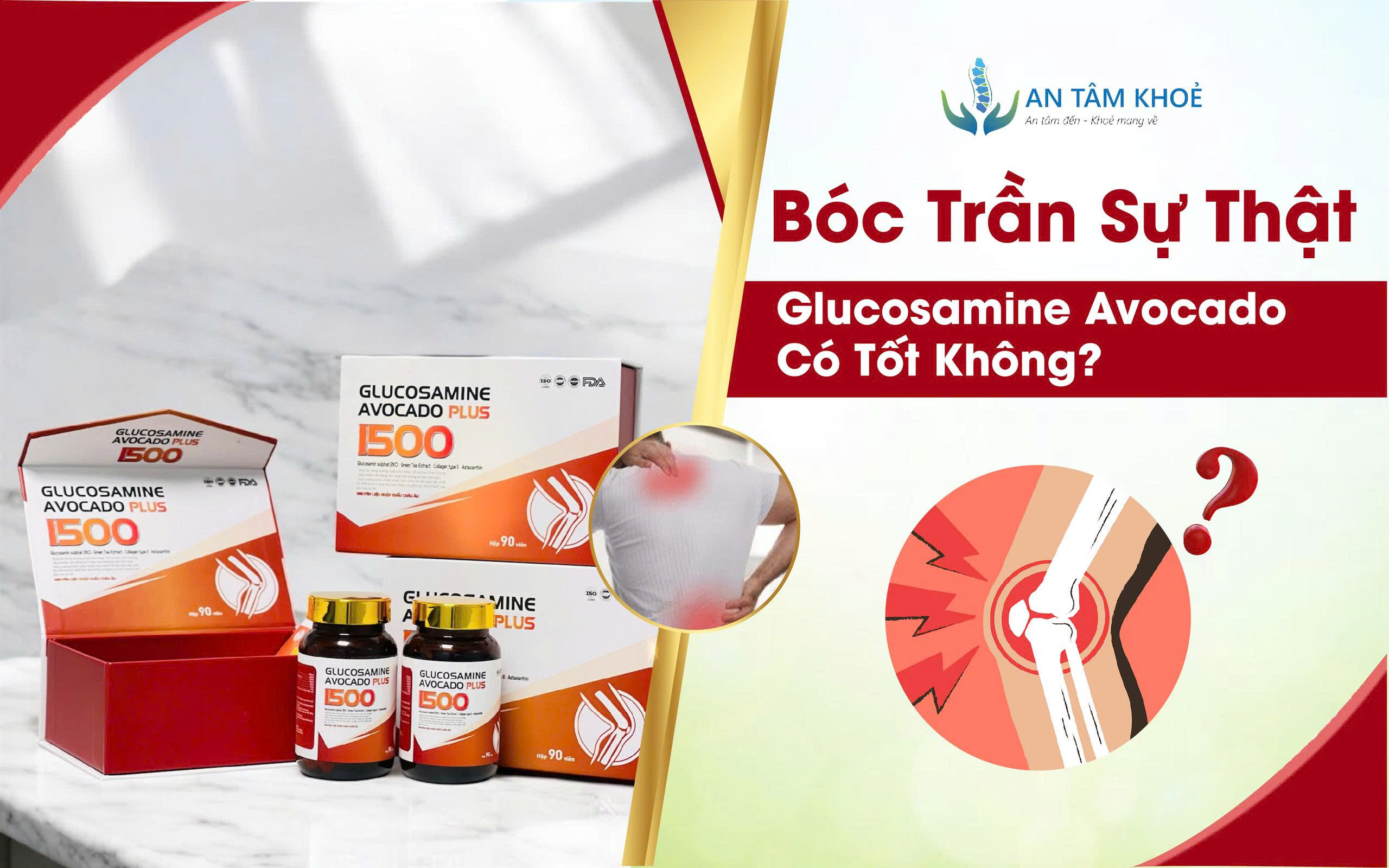 Glucosamine Avocado Có Tốt Không?