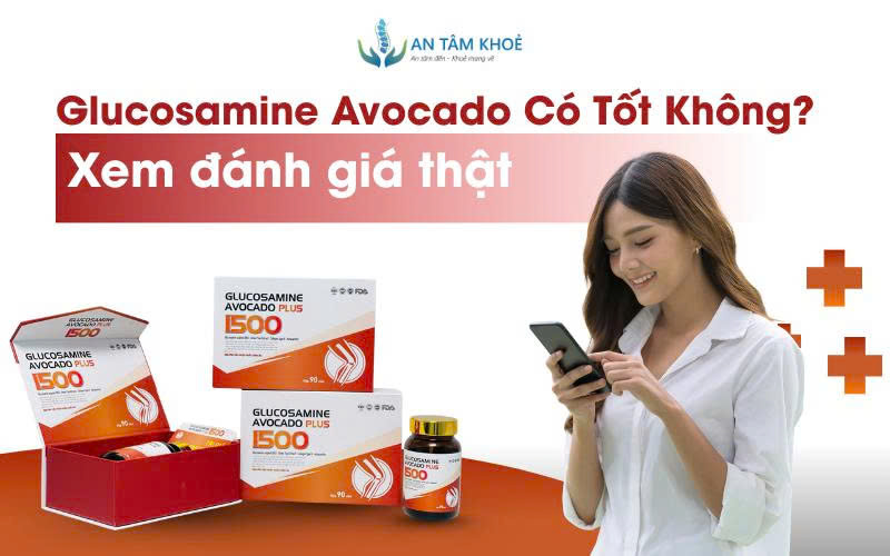 Glucosamine Avocado Có Tốt Không